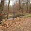 Geocaching Müggelberge Nov. 08 – Der Thyrn, Biotop Geocaching Müggelberge Nov. 08 – Der Thyrn, Biotop