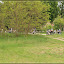 Mopped-Tour Himmelpfort – Moppeds ;) Mopped-Tour Himmelpfort – Moppeds ;)