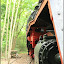 Natur-Park Südgelände und Krummer Pfuhl &ndash; 50 3707-2 rechte Flanke