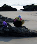 Women Picking Oysters Patnem Beach Slideshow