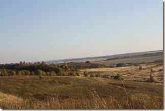 IMG_1955 IMG_1955