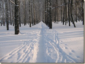IMG_0030 IMG_0030