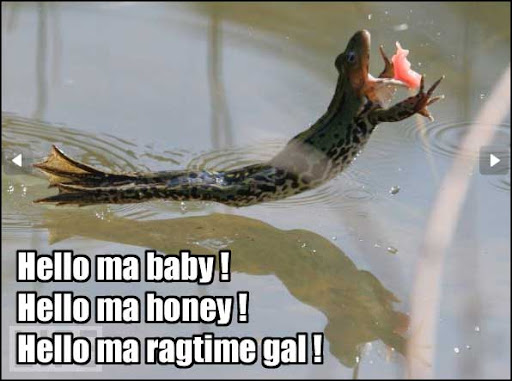 lh4.ggpht.com