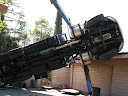 Tree Truck