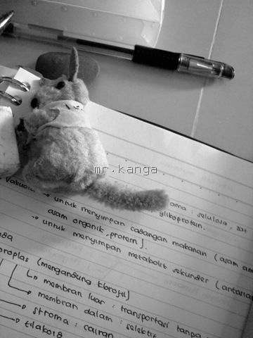[01082009111915.jpg]