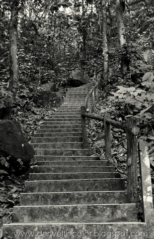 [DSC_0682[11].jpg]