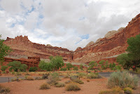 DSC_4928.JPG