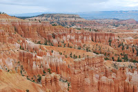 DSC_4983.JPG