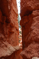 DSC_5033.JPG
