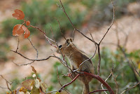 DSC_5088.JPG