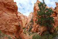 DSC_5092.JPG