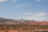 DSC_5196.JPG