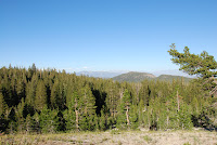 DSC_5314.JPG