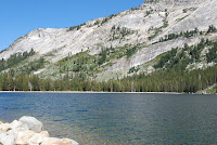 DSC_5347.JPG Photo