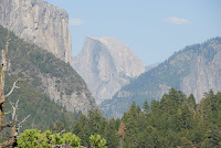 DSC_5378.JPG Photo
