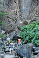 DSC_5401.JPG Photo