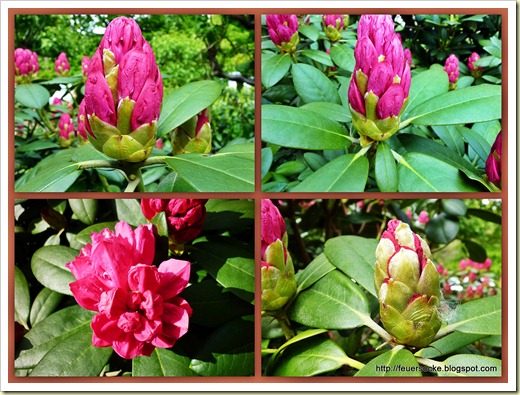 20100518