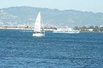 SF-Trip-YSK2-14.jpg