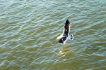 SF-Trip-YSK2-15.jpg
