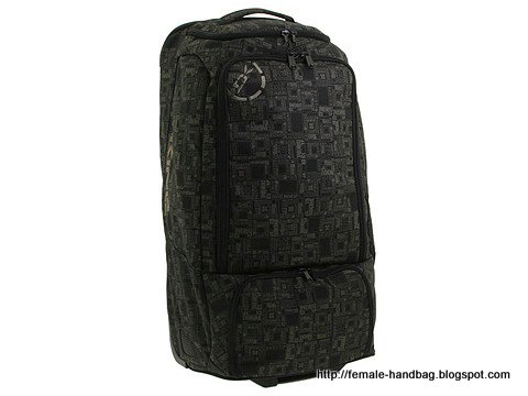 Female-handbag:handbag-1219500