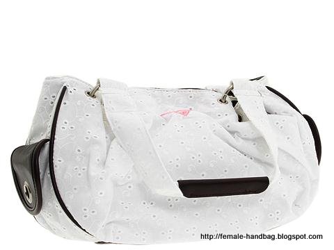 Female-handbag:handbag-1219503