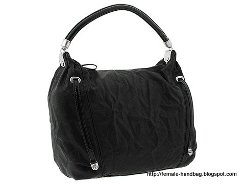Female-handbag:handbag-1216411