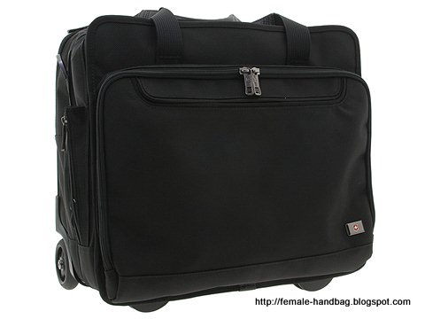 Female-handbag:female-1217795