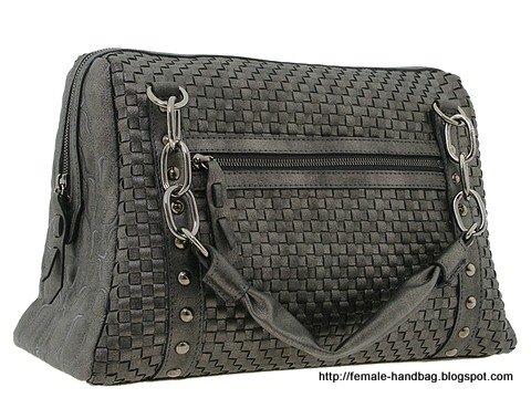 Female-handbag:handbag-1217806
