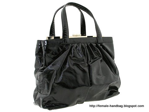 Female-handbag:handbag-1217899