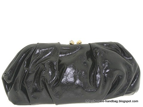 Female-handbag:handbag-1217177