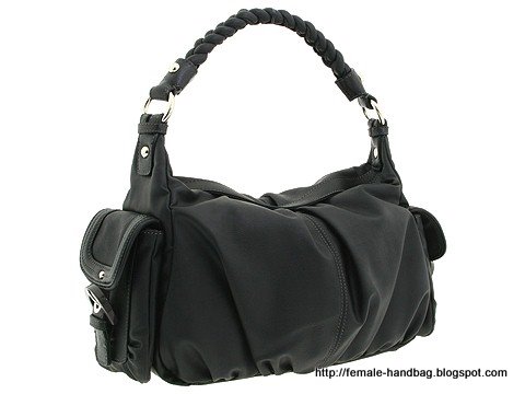 Female-handbag:handbag-1217670
