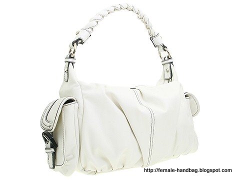 Female-handbag:handbag-1217672