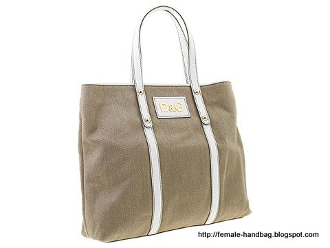 Female-handbag:handbag-1217790