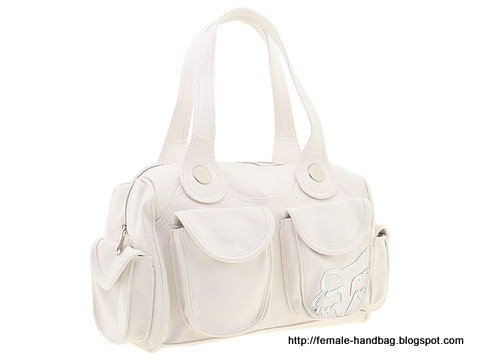 Female-handbag:handbag-1217792