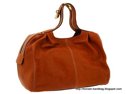 Female-handbag:handbag-1217794