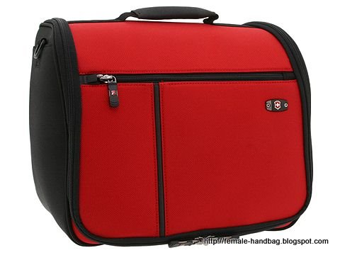 Female-handbag:handbag-1218197