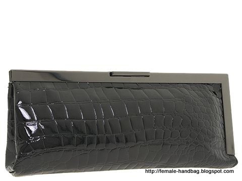 Female-handbag:handbag-1218203