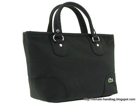 Female-handbag:handbag-1218218