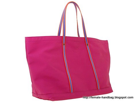 Female-handbag:handbag-1218219