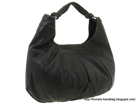 Female-handbag:handbag-1218222