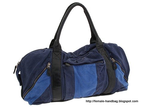 Female-handbag:female-1218039