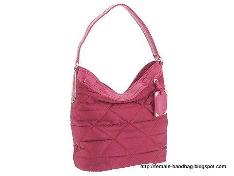 Female-handbag:handbag-1218038
