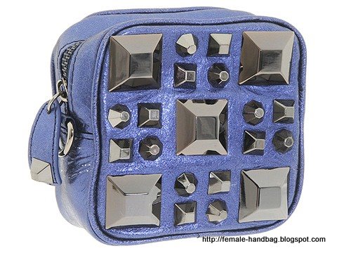 Female-handbag:handbag-1218053