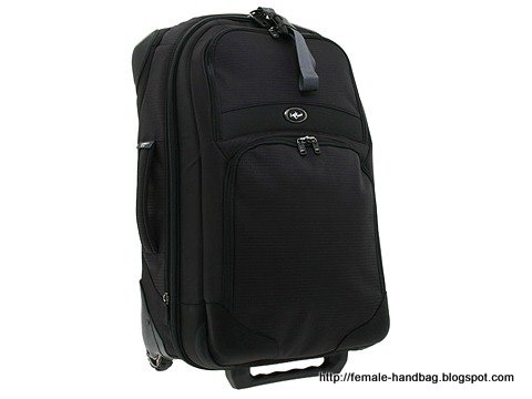 Female-handbag:handbag-1218057