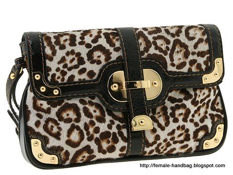 Female-handbag:handbag-1218091