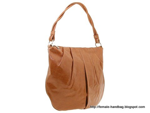 Female-handbag:handbag-1218109