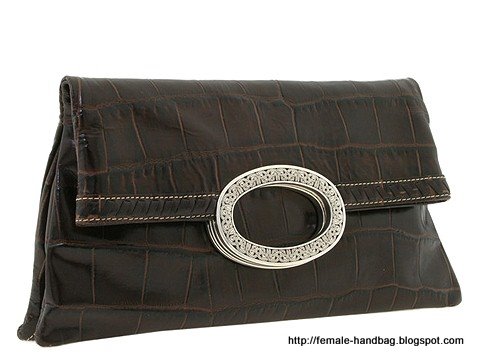Female-handbag:handbag-1218126