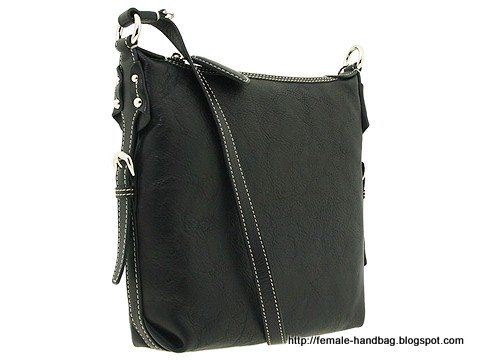 Female-handbag:handbag-1218135