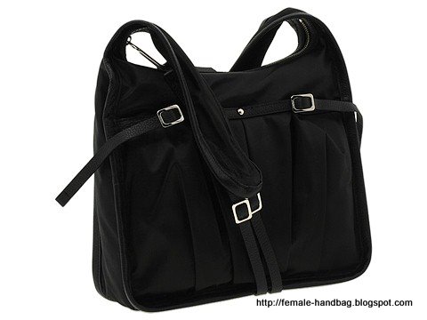 Female-handbag:handbag-1218139