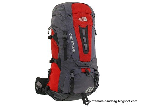 Female-handbag:handbag-1218412